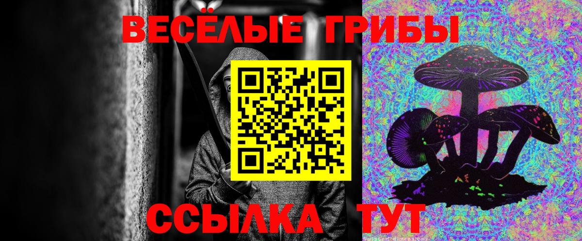 Псилоцибиновые грибы прущие грибы  Псилоцибиновые грибы MAGIC MUSHROOMS  Вход с VPN  Орехово-Зуево 